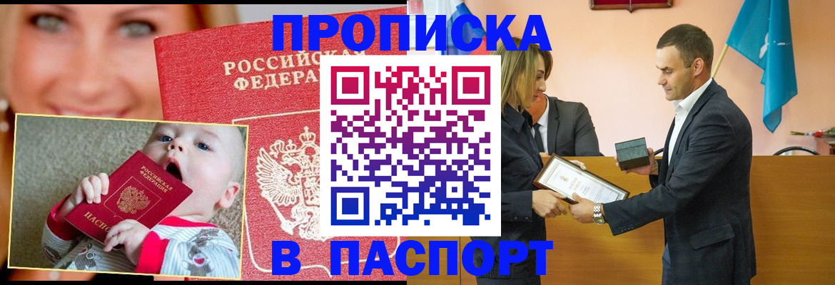 прописка поиск в Бердске